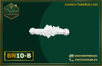 إكسسوارات بانوهات فيوتك BN10-B)- banohat)