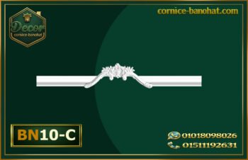 إكسسوارات بانوهات فيوتك BN10-C)- banohat)
