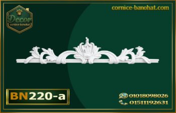 إكسسوارات بانوهات-فيوتك BN220-a)- banohat)