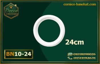 دائرة بانوهات فيوتك (BN10-24) -⌀24CM