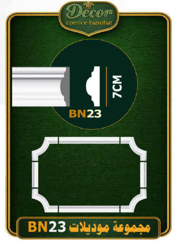 BN23